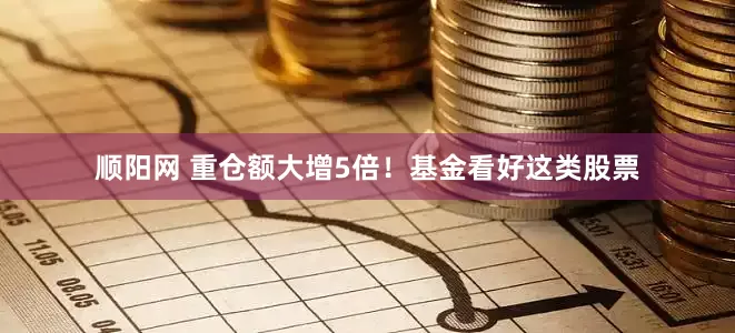 顺阳网 重仓额大增5倍！基金看好这类股票