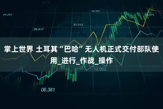 掌上世界 土耳其“巴哈”无人机正式交付部队使用_进行_作战_操作