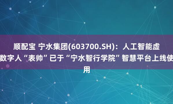 顺配宝 宁水集团(603700.SH)：人工智能虚拟数字人“表帅”已于“宁水智行学院”智慧平台上线使用